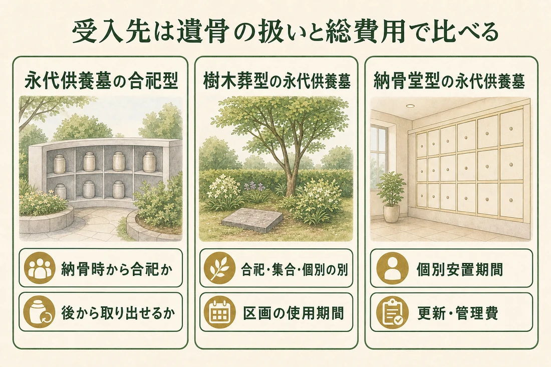 合祀型、樹木葬型、納骨堂型の受入先を遺骨の扱いで比べる図解
